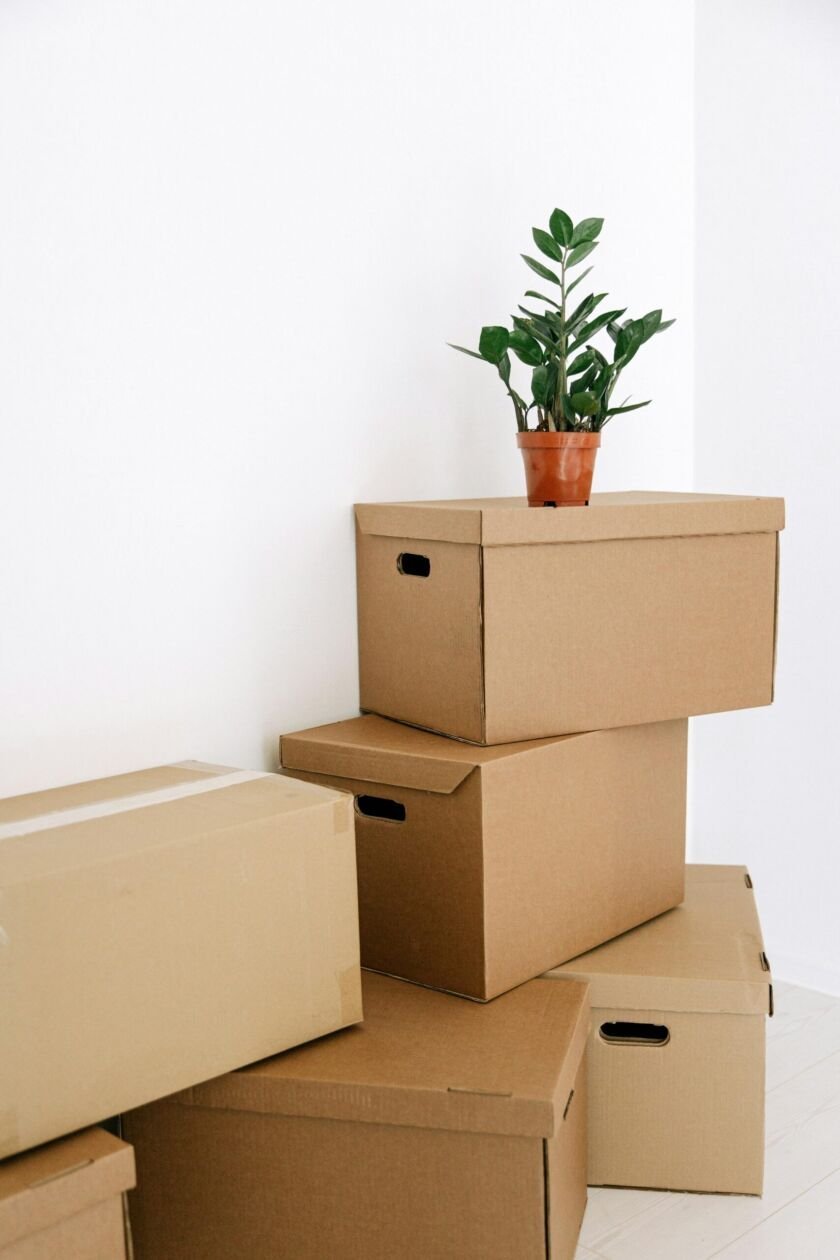 From Paper to Planet-Friendly: How Eco Cardboard Boxes Are Made