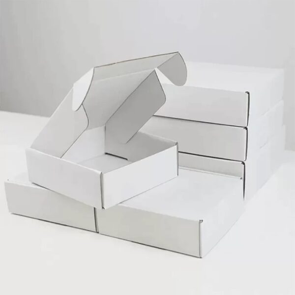 220x160x77mm Diecut Mailing Box - Image 1