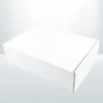 270x160x120mm Die-cut Mailing Box