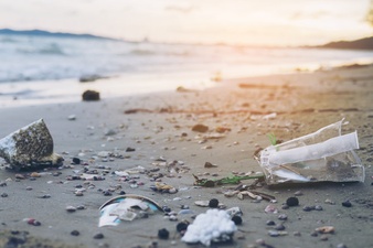 Bioplastics