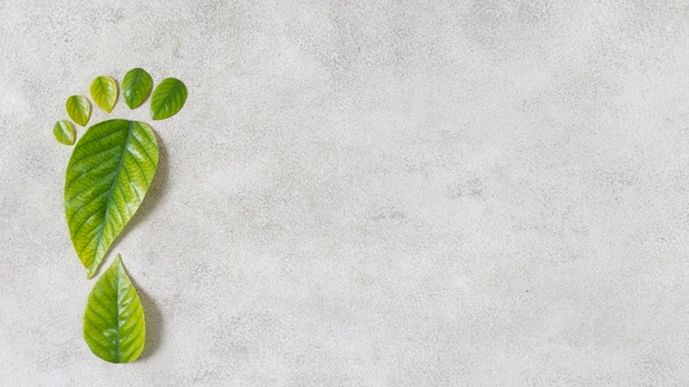 Zero-Waste Lifestyle