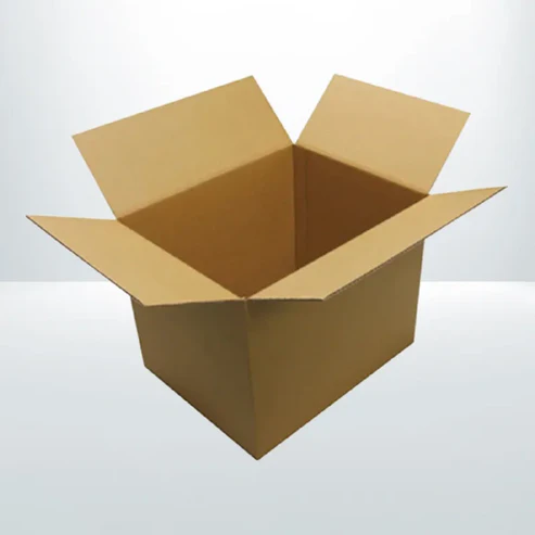 download-2024-04-30T062516.246 570x410x370mm Cardboard Cartoon Box - Image 1