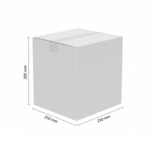 250x250x250mm - White, Single Wall, 50/Piece