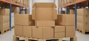 Die Cut Mailing Boxes