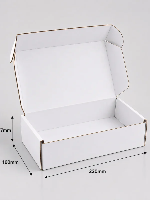 220x160x77mm white mailing box