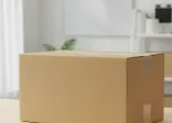 1 (1)