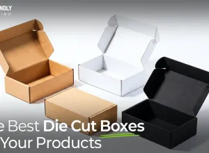 Diecut Box (EcoFriendly Packaging)