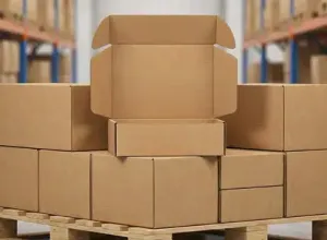 Die Cut Mailing Boxes