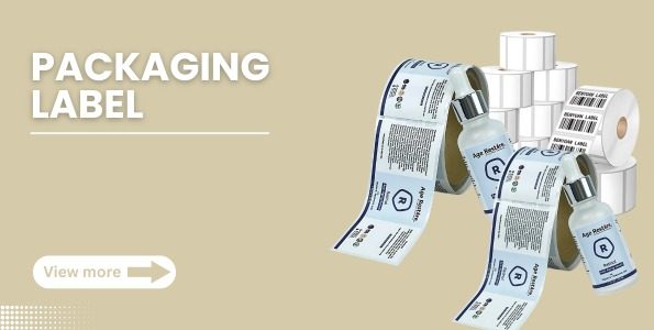 WhatsApp Image 2025-08-16 at 12.26.01 PM