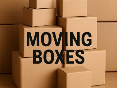 WhatsApp Image 2025-08-20 at 3.21.24 PM